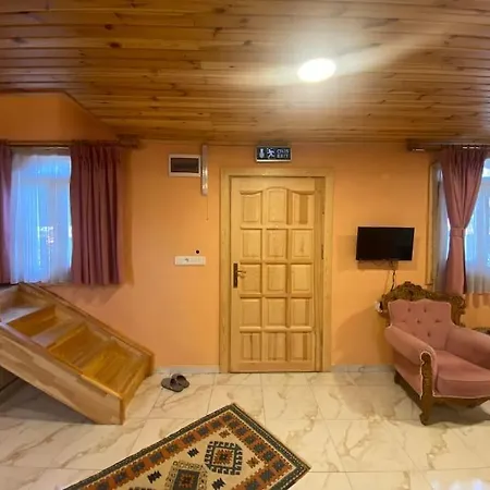 Апартаменты Serbesler Botanik, No 4 Wooden House *