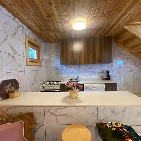 Апартаменты Serbesler Botanik, No 4 Wooden House