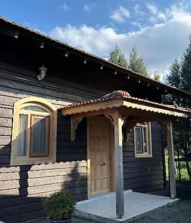 Serbesler Botanik, No 4 Wooden House Apartment Sakarya (Marmara)